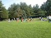 tugofwar7.jpg (107kb)