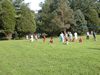 tugofwar8.jpg (107kb)