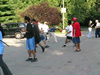 gatka2009.jpg (77kb)